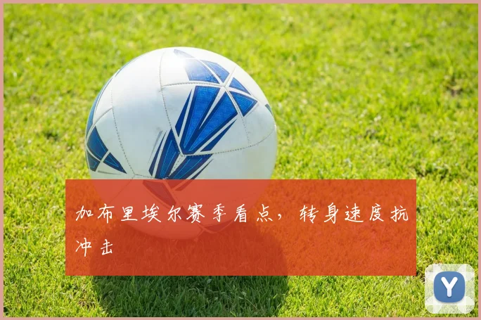 加布里埃尔赛季看点，转身速度抗冲击