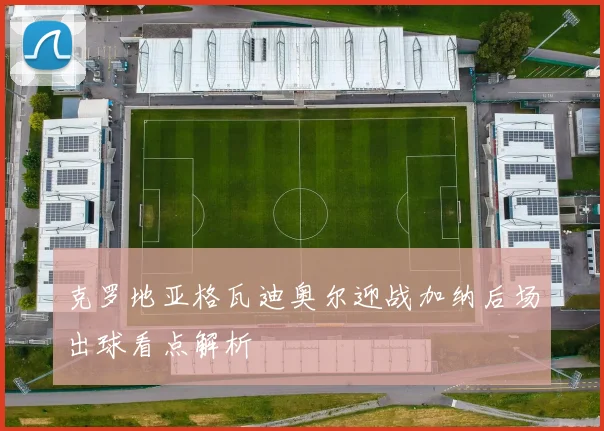 克罗地亚格瓦迪奥尔迎战加纳后场出球看点解析
